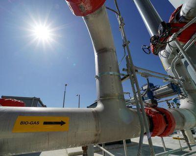 Why biomethane is not the solution to Britain’s gas supply issues