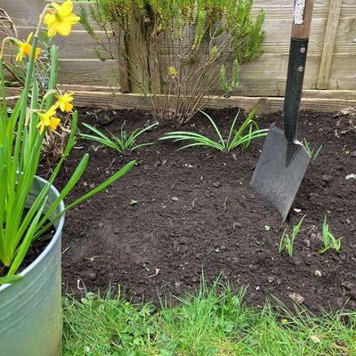 7 speedy ways to kill weeds – garden experts swear by these 5-minute methods to get rid of them without the overwhelm
