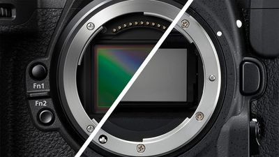 The mirrorless myth: A full-frame DSLR camera will get you the same results, you’ll just have to try a little harder