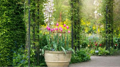 The Best Way to Stagger Planting in Containers – So Your Balcony Garden Doesn’t Peak by June