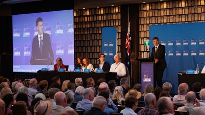 'Brand damage' risk as Liberals preference One Nation
