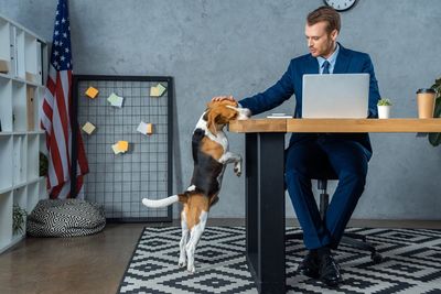 Leave your job wish list at home with Fido: why work perks are going to the dogs