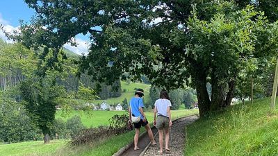 'I loved everything about it': Reconnect with nature on Germany's barefoot hiking trails
