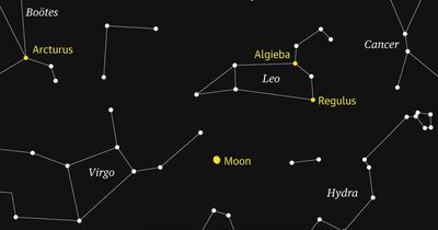 Starwatch: Leo the lion dominates the northern hemisphere