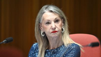 Senator in bizarre 'disrespectful' Anzac Day rap post