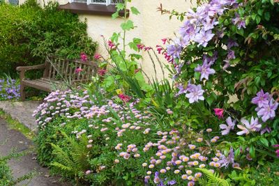 How to create a stunning cottage garden in the smallest of spaces