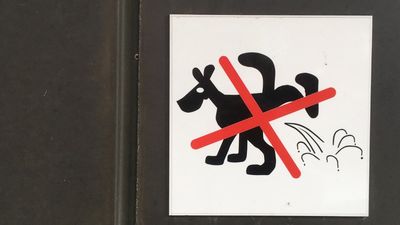 Queens man flies into a rage over a dog peeing and stabs everyone, including his father