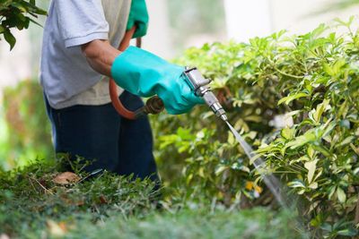 US supreme court weighs blocking lawsuits against Roundup makers alleging weedkiller causes cancer