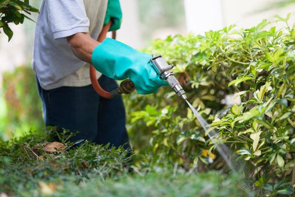 US supreme court to hear case that could weaken consumers’ ability to sue for failure to warn of product risks