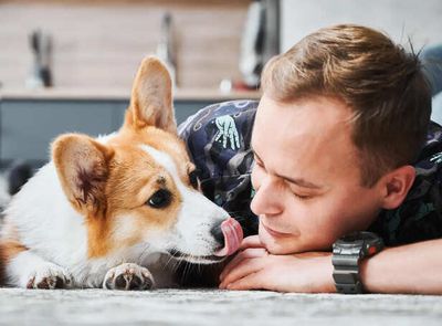 Why Your Dog Knows You’re Not Okay Before Anyone Else
