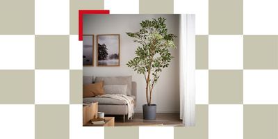 I’m Not Usually Into Artificial Foliage, but the Reviews of IKEA’s New Indoor-Outdoor Weeping Fig Plant Have Me Convinced — It’s Great Value and “Very Realistic”