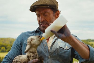 The Sheep Detectives review – This ‘talking sheep solve Hugh Jackman’s murder’ movie is oddly charming