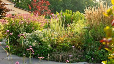 Garden Diaries: ‘Giving Back to the Land Has Always Been My Dream' – Why Summer Rayne Oakes Traded City Gardening for a Wild, Limitless Homestead