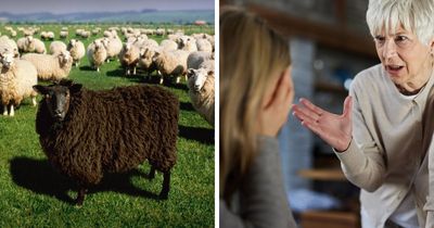 Black Sheep of the Family: Why You Were Chosen and How to Thrive