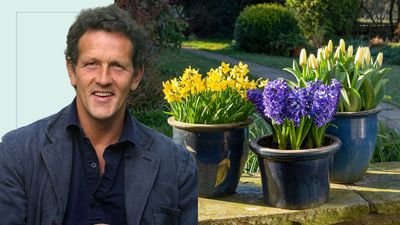 Are spent flowers taking up all your best pots? Monty Don's smart trick will free them back up for summer planting
