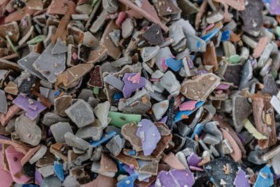 Toxic chemicals are raising infertility in humans, fish, birds, and insects: ‘A whisper that is powerful enough to redirect a hurricane’