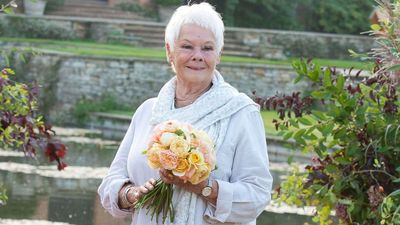 Dame Judi Dench's surprising confession over why she 'can't' garden - and it's due to a deep-rooted fear of this critter