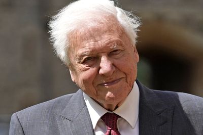 Sir David Attenborough’s 100th birthday to be marked by star-studded live BBC event at Royal Albert Hall