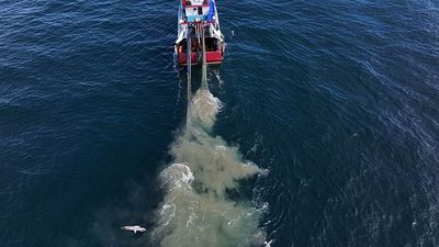 Taxpayer-funded bottom trawling costs Europe billions. Has Türkiye found the solution?