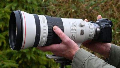 "I've never owned a lens of such quality" – award-winning photographer upgrades to super telephoto lens after her viral fisherman portrait win