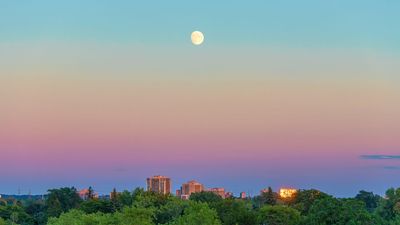 Want to know my secret for learning the night sky? Welcome to sidewalk stargazing