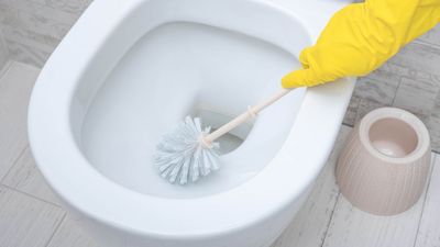 The gross truth about your toilet brush and how often you should change it