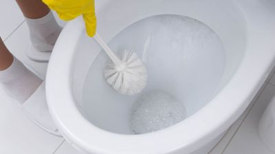 How often should you change your toilet brush to keep it hygienic?