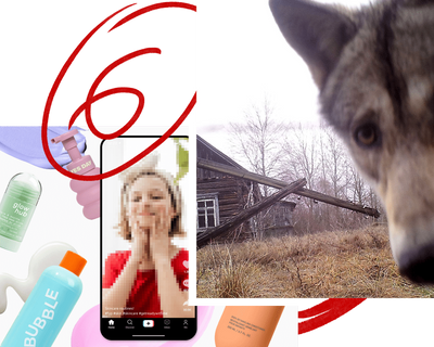 Six great reads: Toddler skincare videos on TikTok, a notorious Indian gangster and the rewilding of Chornobyl’s exclusion zone