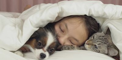 The truth about cats and dogs and the links between pet attachment and mental health