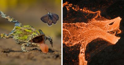 20 Breathtaking Nature Photos That Won The GDT 2026 Competition