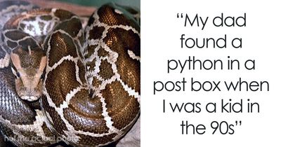 42 Of The Weirdest Packages Mailmen Found In Postboxes Or Had To Deliver