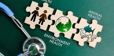 Delving into One Health’s vision to better protect people, animals and the planet from future health crises