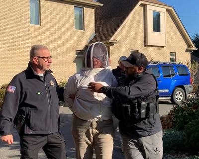 ‘She’s opening the bees!’ US beekeeper jailed for trying to save friend from eviction
