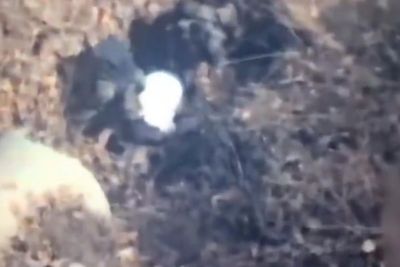 Moment top Mexican cartel leader is captured while hiding in a ditch