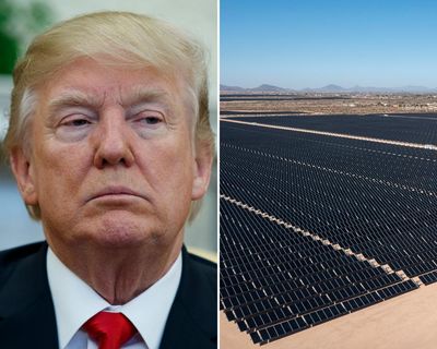 Trump’s attempt to crush clean energy progress not going to plan, experts say