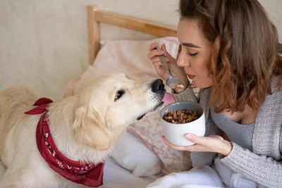 Foods That Can Poison Your Dog- What Every Owner Must Know
