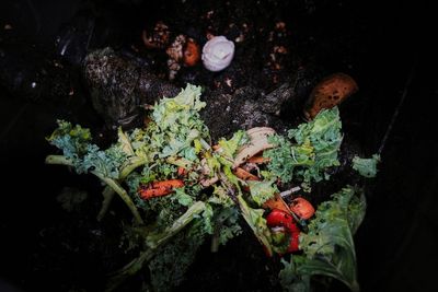Still unsure about composting? Here's why and how to make 'black gold' for the garden