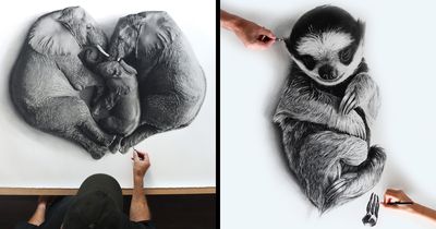 20 Stunning Charcoal Drawings Of Animals Created By A Father-Daughter Duo