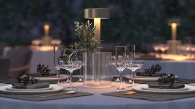 This Lamp-Vase Hybrid Is a Brilliant 2-in-1 — And the Twist? It Was Designed ‘In Collaboration’ With AI