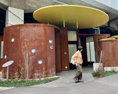 Public toilets: more than a matter of convenience