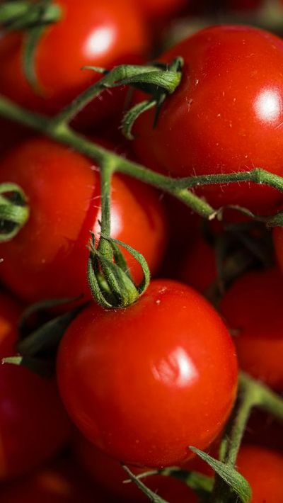 Why Fresh Tomato Prices Are Spiking at the Supermaarket Right Now