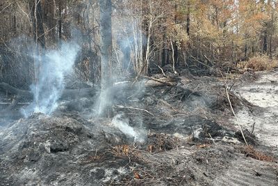 Georgia officials warn wildfires are still a threat as firefighters report progress