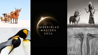 Hasselblad finally reveals Masters finalists – a breathtaking celebration of global excellence in photography