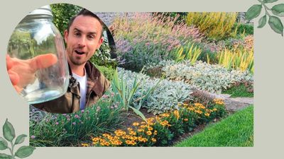 Stop picking the wrong plants for your garden with Michael Griffiths' genius soil trick