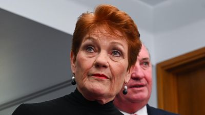 Hanson flaunts 'sexy' new plane before donor law change