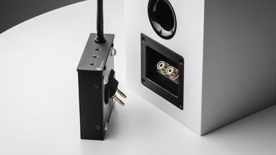 Pro-Ject just launched a tiny box to turn any passive speakers wireless that attaches to the binding posts, and brings them into the Sonos-rivaling WiiM ecosystem — and there's a streamer box for hi-fi amps too… but Apple users should probably pass