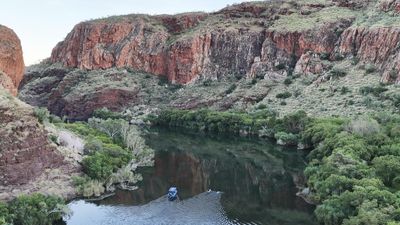 'Elephant on back' but no croc sightings in record swim