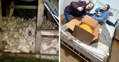 “Live On A Farm, They Said. It Would Be Fun, They Said”: 61 Pics That Won’t Make Sense To City Kids