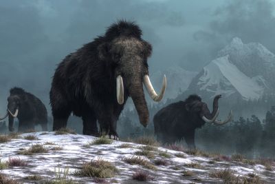 How extinction of giant ice age beasts could still affect food chains