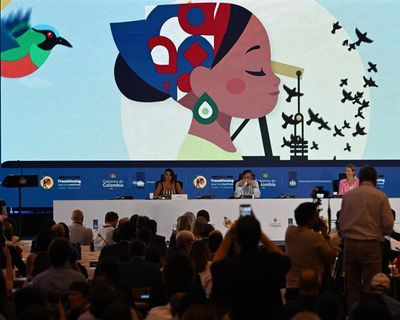 ‘Suicidal’ model of capitalism leading to war and fascism, climate summit told